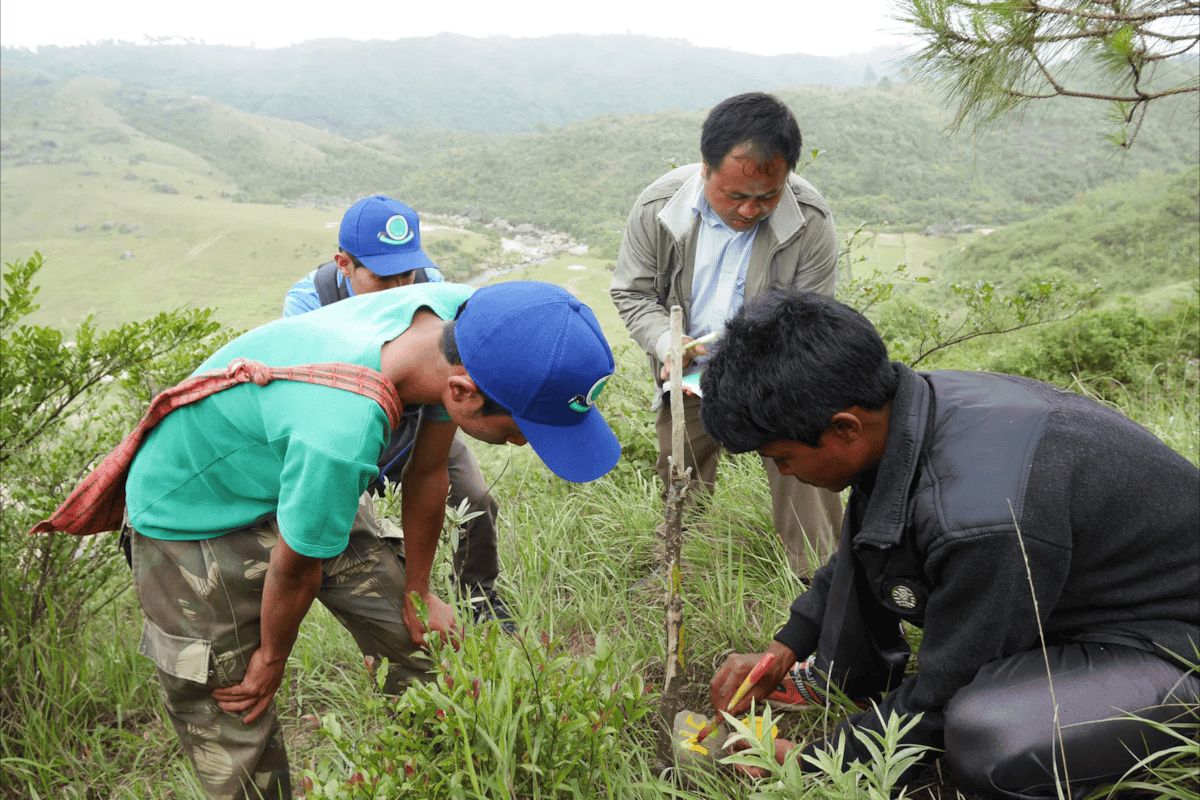 Molnskog i Khasi Hills, Indien — WeForest-projekt